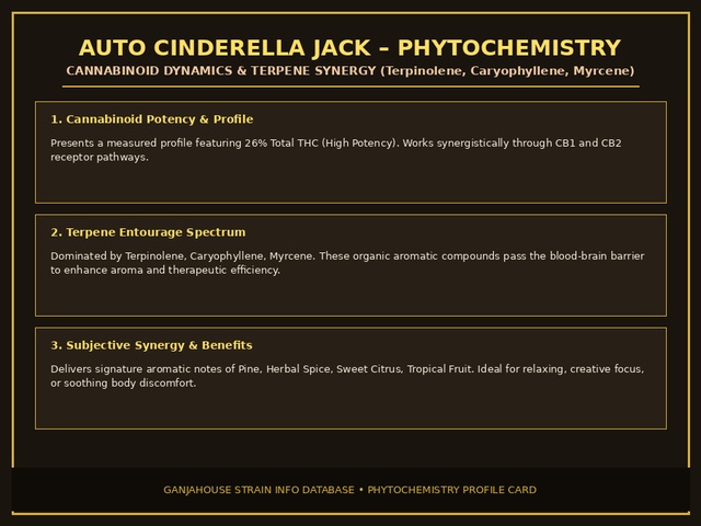 Auto Cinderella Jack Phytochemistry Card