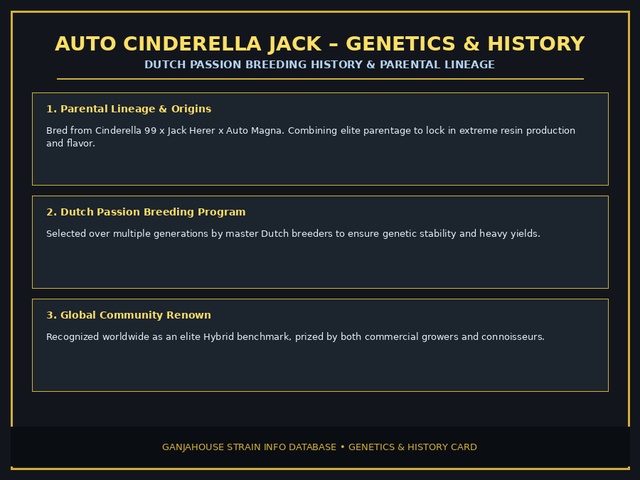 Auto Cinderella Jack Genetics Card
