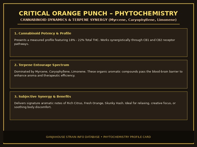 Critical Orange Punch Phytochemistry Card