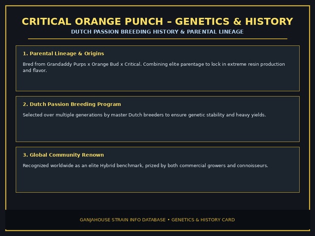 Critical Orange Punch Genetics Card
