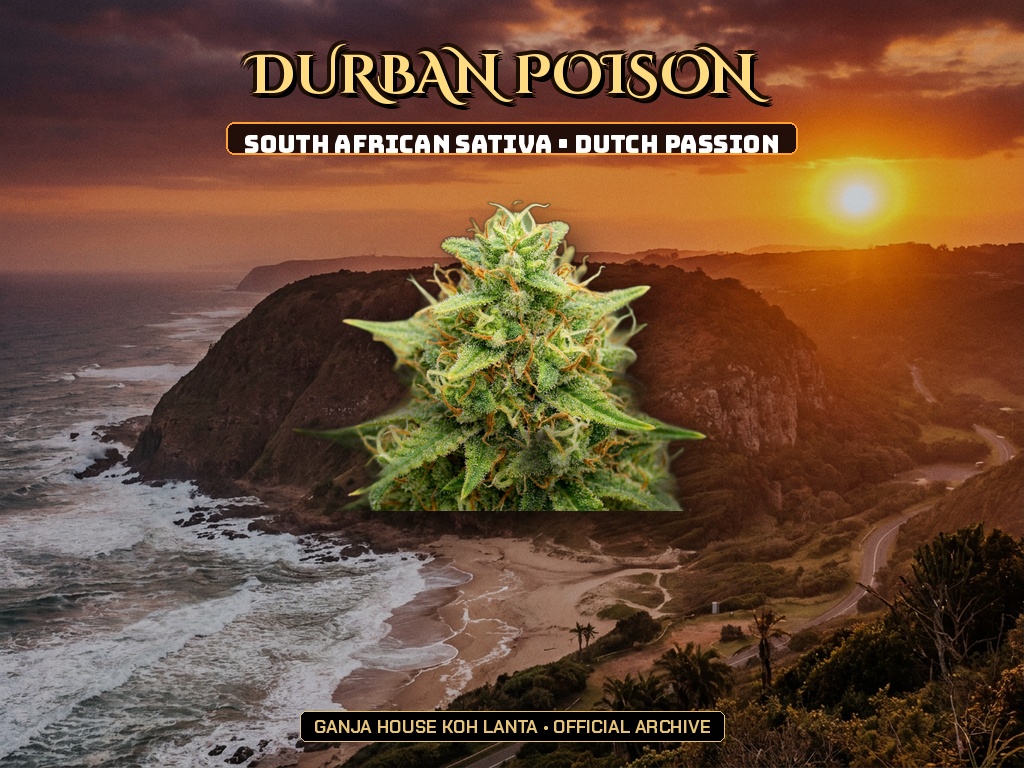 Durban Poison