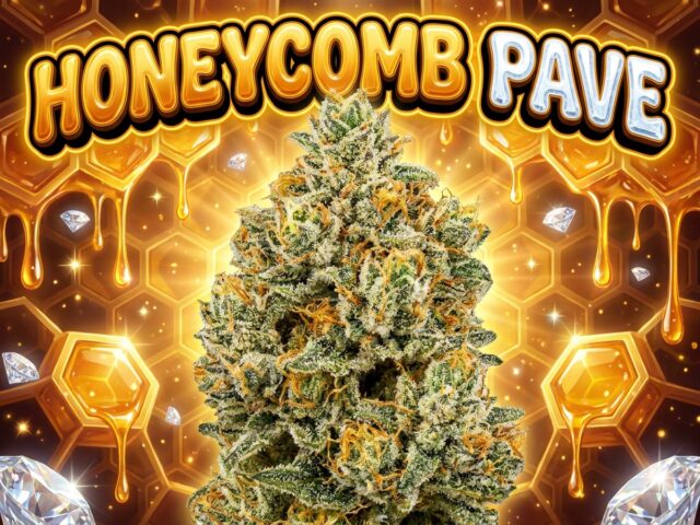 Honeycomb Pave Compound Genetics Cannabis Strain Featured Banner