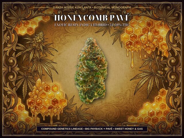 Honeycomb Pave Ganja House Botanical Monograph