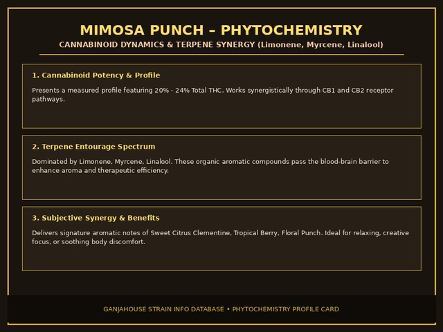 Mimosa Punch Phytochemistry Card
