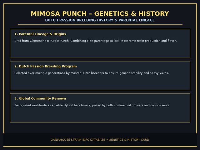 Mimosa Punch Genetics Card