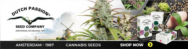 Dutch Passion Seeds Official Reseller