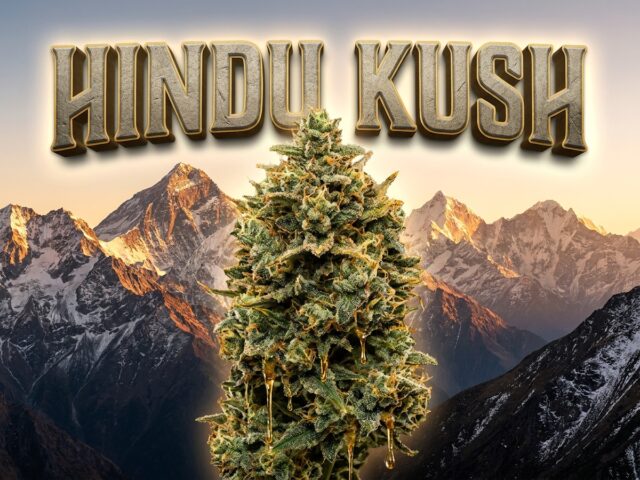Hindu Kush Featured Hero Banner