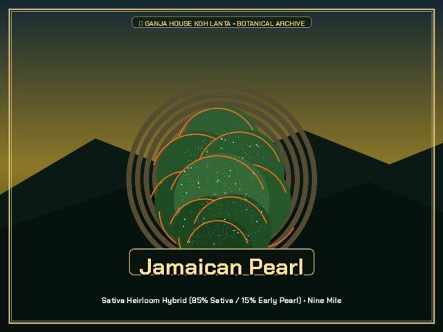 Jamaican Pearl