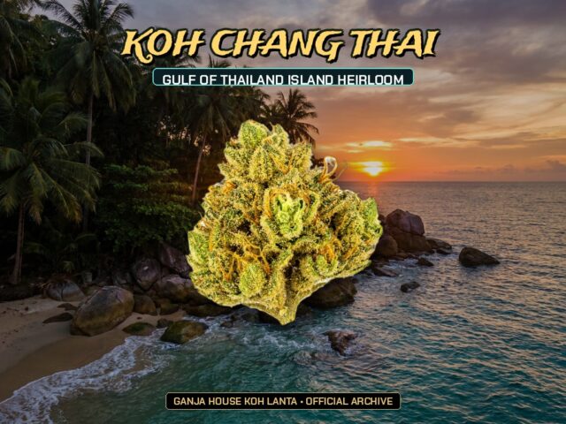 Koh Chang Thai