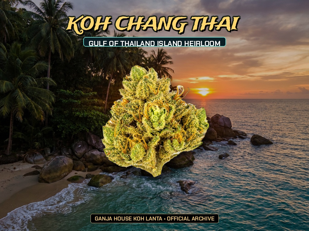 Koh Chang Thai