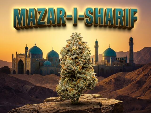 Mazar-i-Sharif Featured Hero Banner