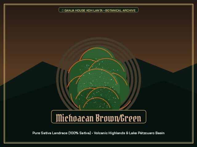Michoacan Brown/Green