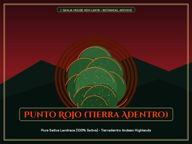 Punto Rojo (Tierra Adentro)