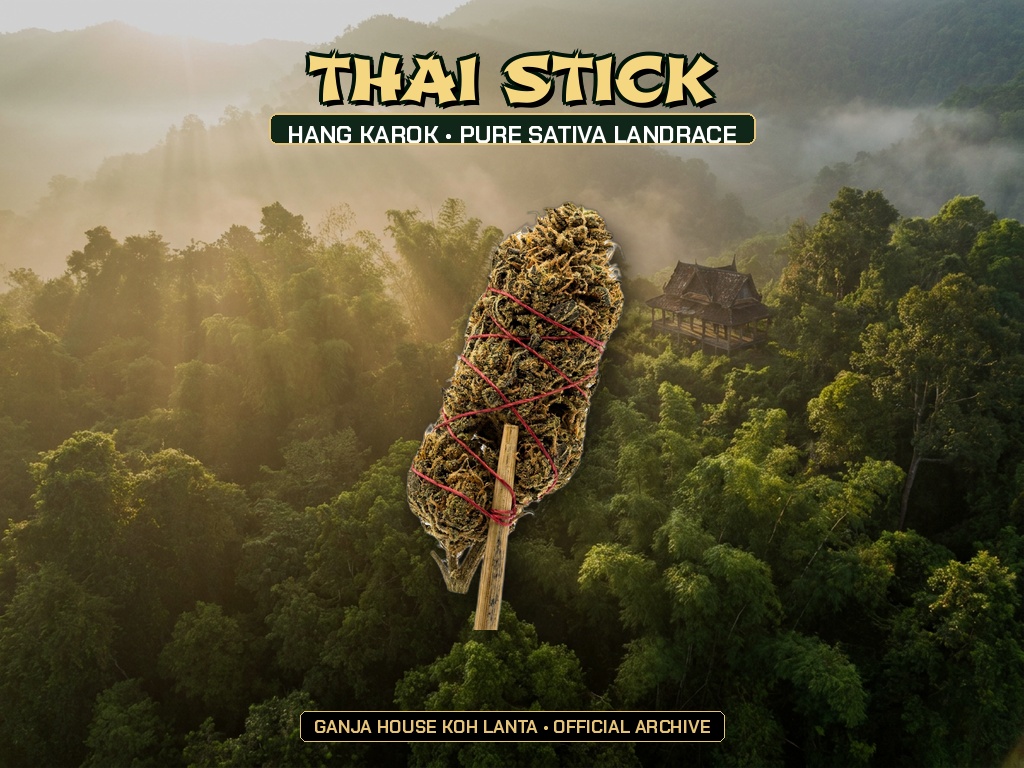 Thai Stick (Hang Karok / Squirrel Tail)
