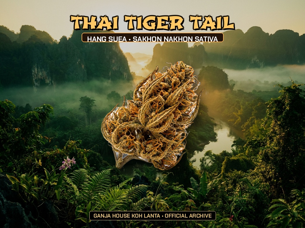 Thai Tiger Tail (Hang Suea)