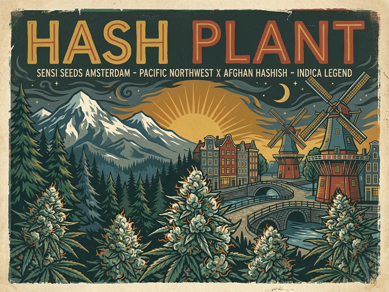 Cannabis indica Hash Plant Heritage Silkscreen Poster
