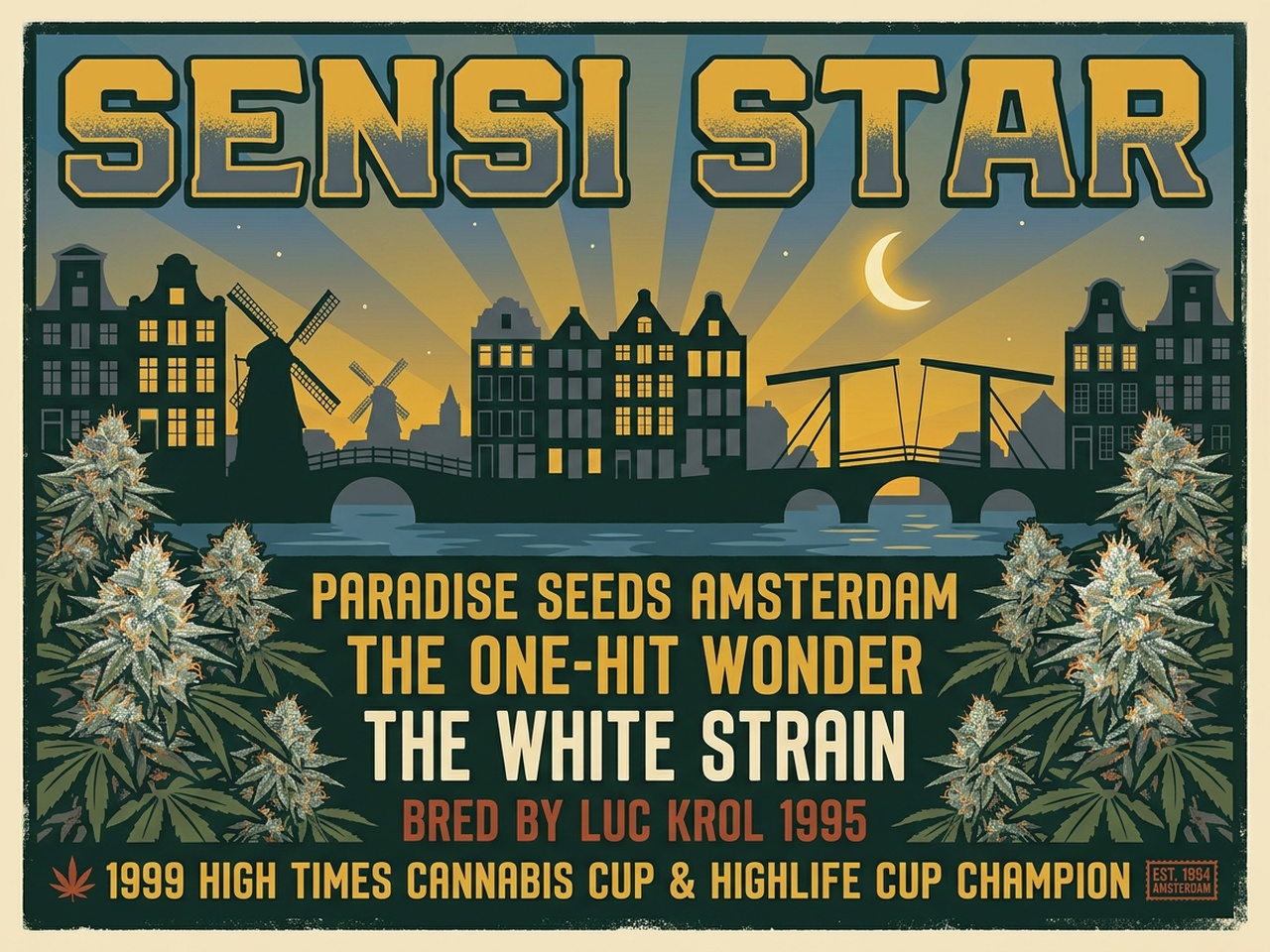 Sensi Star Heritage Poster