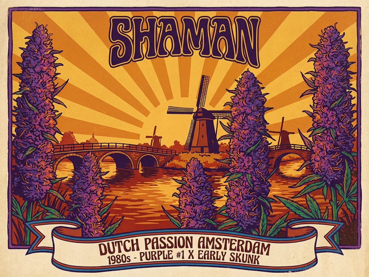 Cannabis Sativa Shaman Vintage Dutch Passion Poster Art