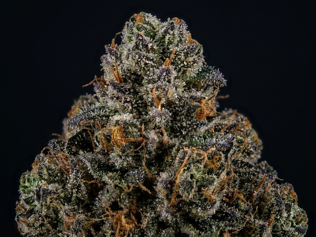 Skywalker OG Calyx Cluster Macro