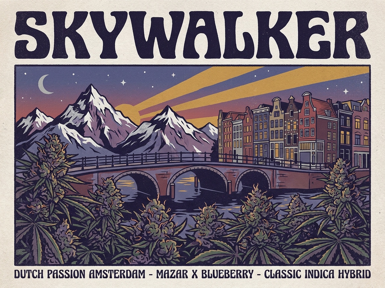 Skywalker Vintage Poster